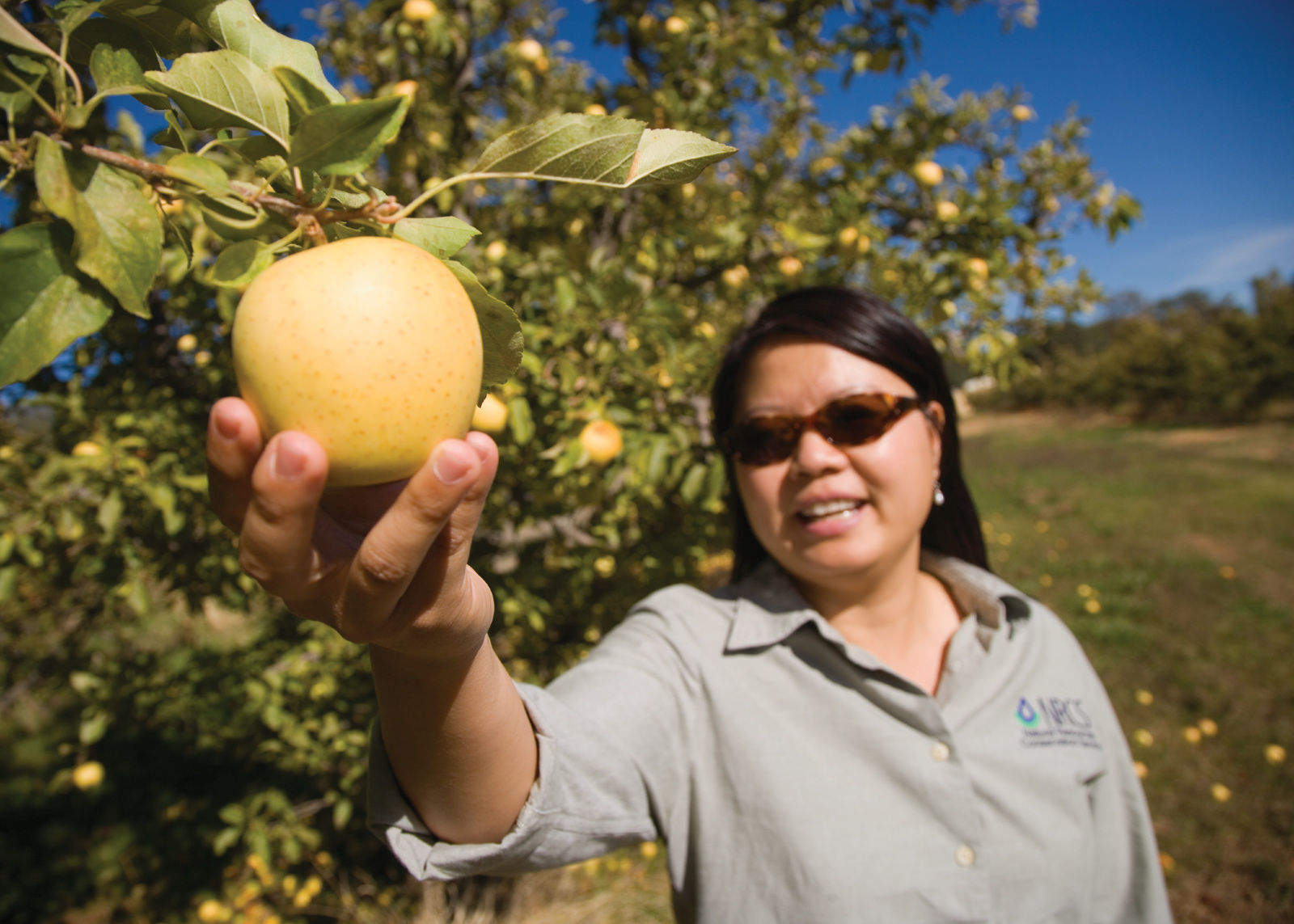 A woman in sunglasses holding a growing yellow apple.